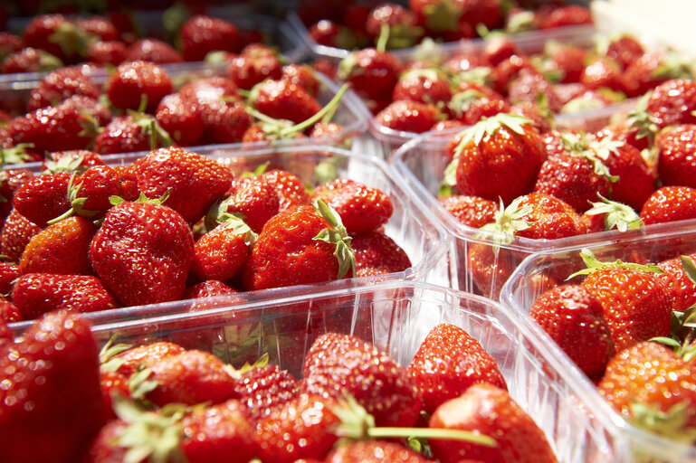 Fotografija 15: fruit, strawberry, market