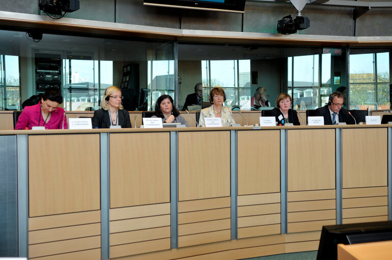 Fotografie 3: FEMM Committee public hearing on Social integration of women belonging to ethnic minority groups.