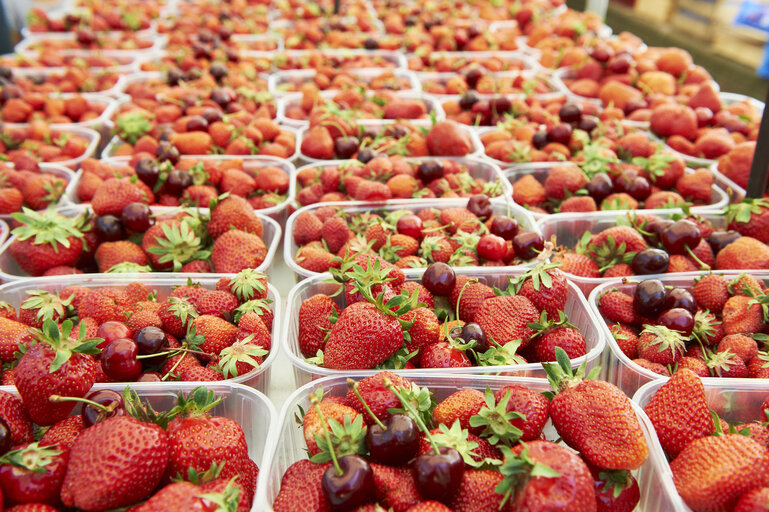 Fotografija 14: fruit, strawberry, market