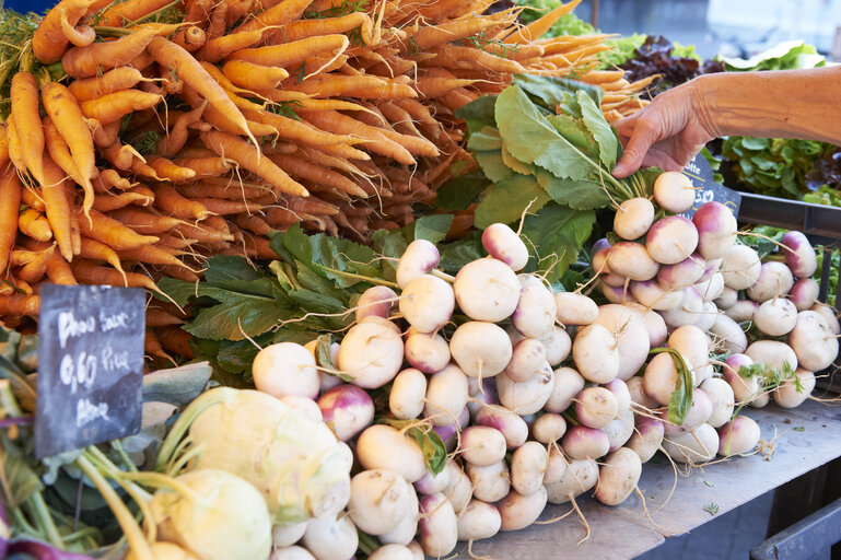 Fotografija 3: carrot,kohlrabi, turnip, market