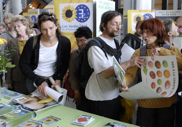 Foto 34: Open days of the European Parliament in Strasbourg