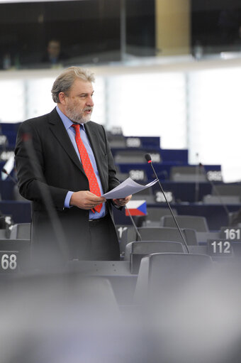 Fotografie 42: Plenary session week 51 2014 in Strasbourg - Georgia