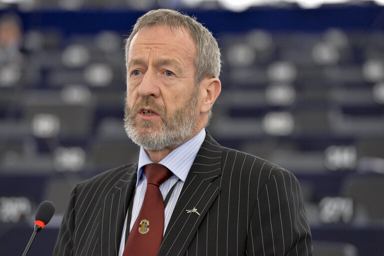 Plenary  session week 51 2014 in Strasbourg - Explanation of votes