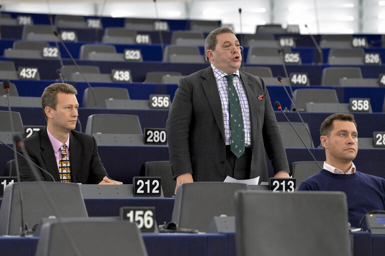 Fotografija 2: Plenary  session week 51 2014 in Strasbourg - Explanation of votes