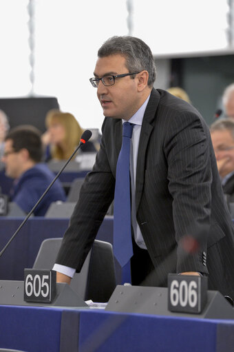 Fotografija 27: Plenary  session week 51 2014 in Strasbourg - Sudan: the case of Dr. Amin Mekki Medani