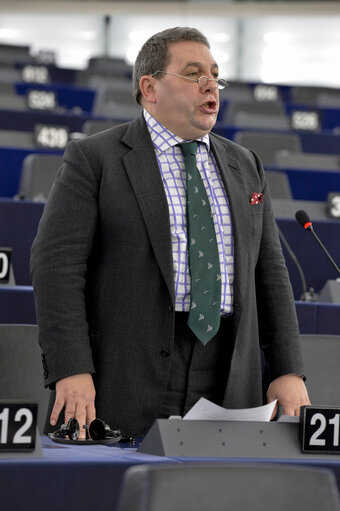 Fotografija 1: Plenary  session week 51 2014 in Strasbourg - Explanation of votes