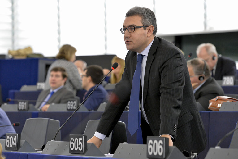 Fotografija 28: Plenary  session week 51 2014 in Strasbourg - Sudan: the case of Dr. Amin Mekki Medani