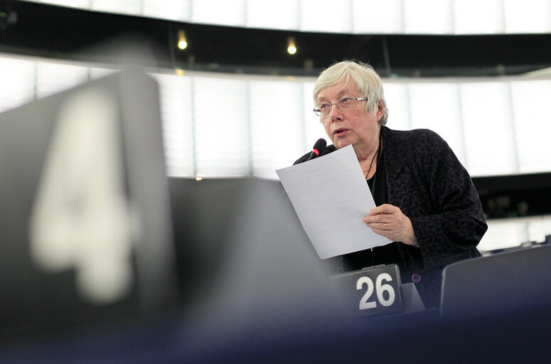 Zdjęcie 25: Plenary session week 51 2014 in Strasbourg - Implementation of the Fuel Quality Directive