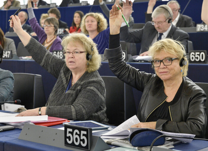 Foto 1: Eva JOLY during the vote in plenary chamber