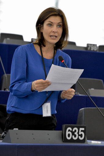 Fotografija 11: Plenary  session week 51 2014 in Strasbourg - Explanation of votes