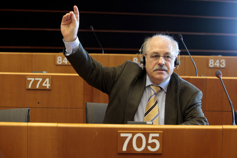 MEP in the hemicycle in Strasbourg