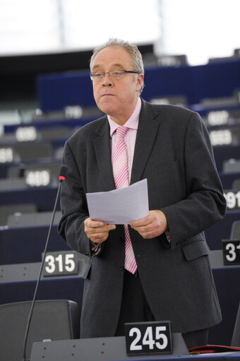 Fotografija 46: Plenary session week 51 2014 in Strasbourg - Georgia