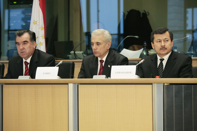 Fotografi 6: AFET Committee meeting with the President of the Republic of Tajikistan, jointly with the Delegation to the EU-Kazakhstan, EU-Kyrgyzstan and EU-Uzbekistan Parliamentary Cooperation Committees, and for relations with Tajikistan, Turkmenistan and Mongolia.