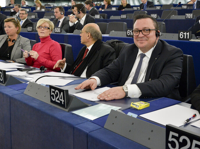 Photo 4 : Plenary session week 51 2014 in Strasbourg -