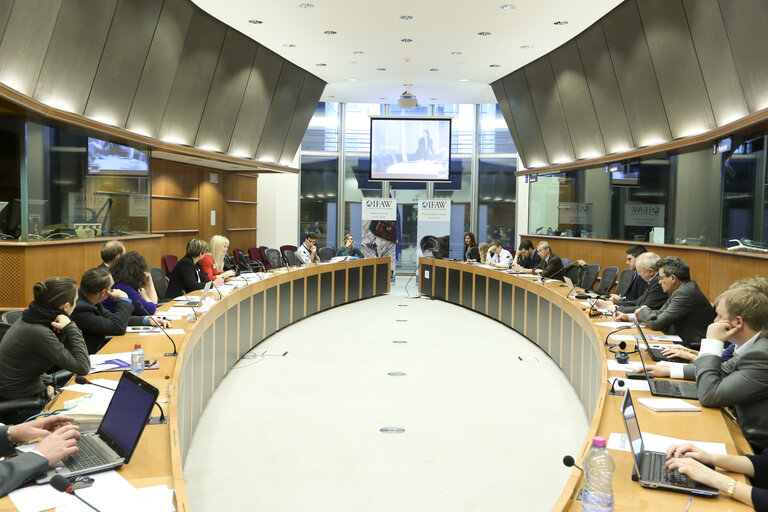 Photo 10: Meeting :  Public Morality and the Seal Regulation