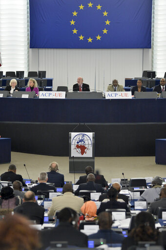 Photo 10 : 28th ACP-EU Joint Parliamentary assembly in Strasbourg  Sitting ' The social and economic consequences of malnutrition in ACP countries '  Statement of Commissioner in charge of international cooperation and development