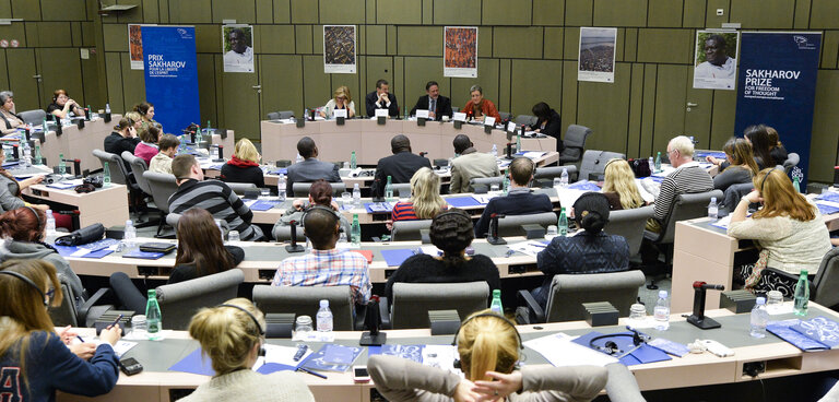 Foto 20: Seminar for journalists.  Sakharov prize for freedom of thought.