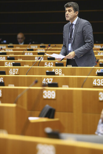 Fotografia 7: Plenary session in brussels - week 46 2014