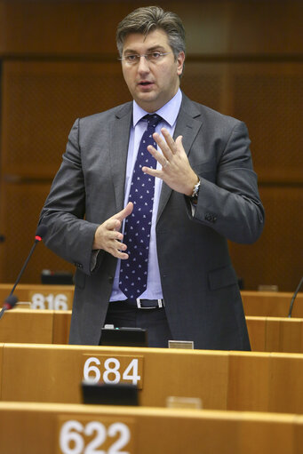 Photo 12: Plenary session in brussels - week 46 2014