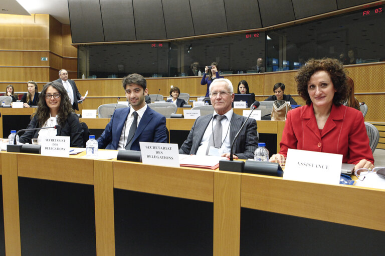 Fotografie 11: 9th EU-Montenegro Stabilisation and Association Parliamentary Committee meeting