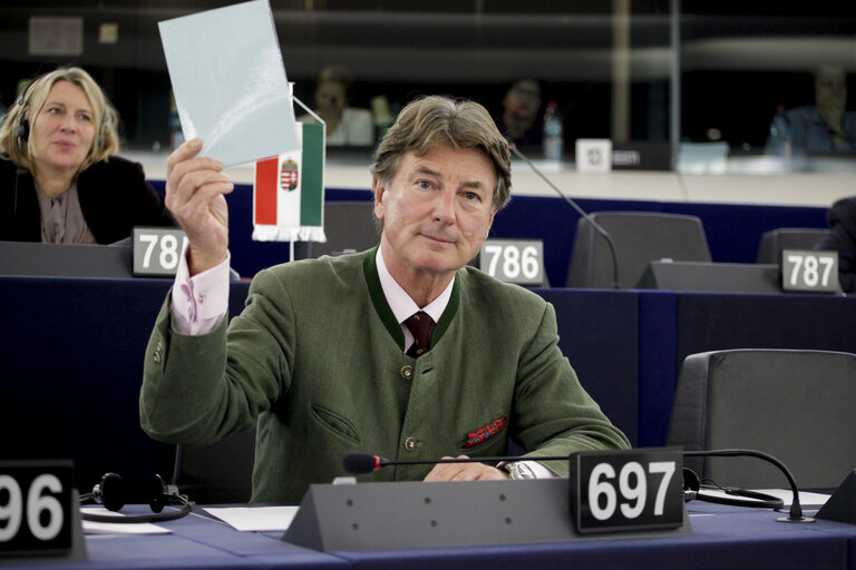 Fotografie 5: Georg MAYER and MEPs in Plenary Chamber in Strasbourg