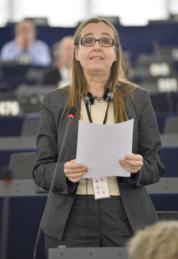 Fotografi 25: Plenary session week 48 2014 in Strasbourg - Recognition of Palestine statehood