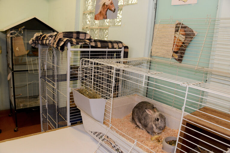 Fotogrāfija 30: Strasbourg detention centre. Animal care for rehabilitation programme .