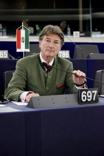 Fotografie 6: Georg MAYER and MEPs in Plenary Chamber in Strasbourg