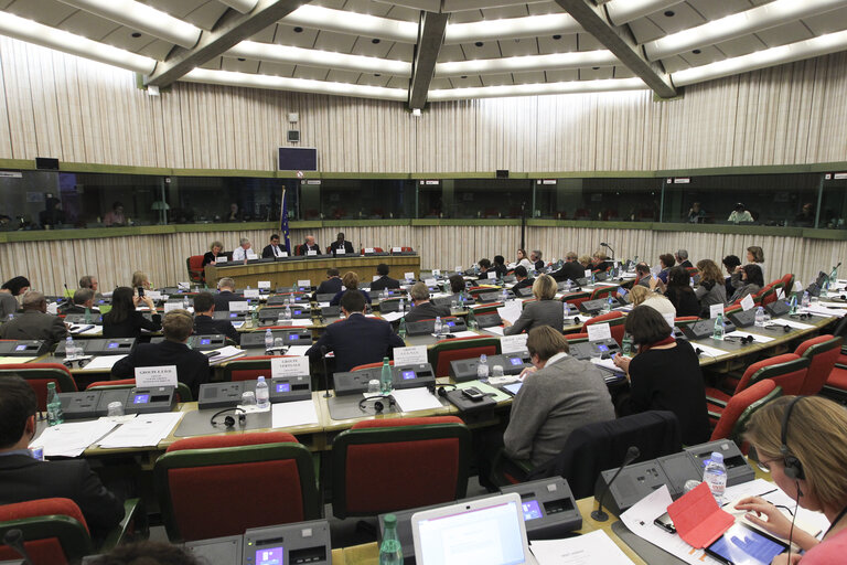 Fotagrafa 9: Meeting of the Delegation to the ACP-EU Joint Parliamentary Assembly with the laureate of the Sakharov Prize 2014