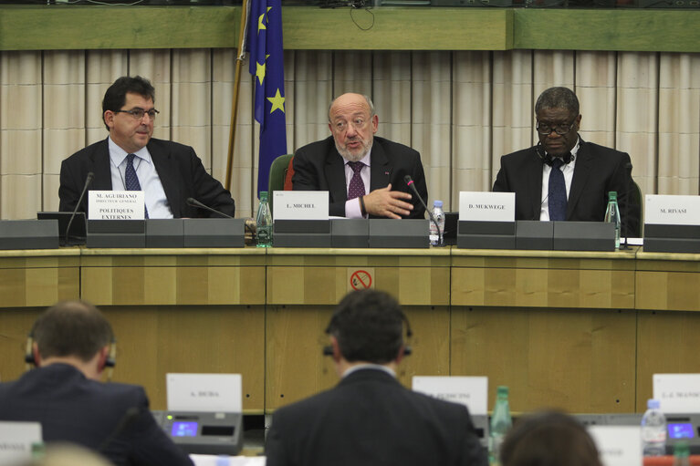 Fotagrafa 10: Meeting of the Delegation to the ACP-EU Joint Parliamentary Assembly with the laureate of the Sakharov Prize 2014