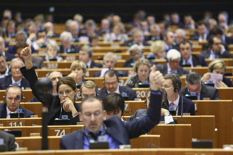 Fotografija 23: Plenary session in brussels - week 46 2014