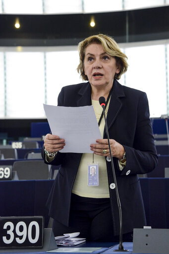 Снимка 15: Plenary session in Strasbourg - Week 48 2014