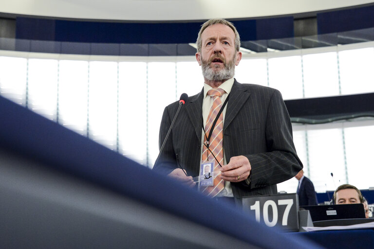 Снимка 35: Plenary session in Strasbourg - Week 48 2014