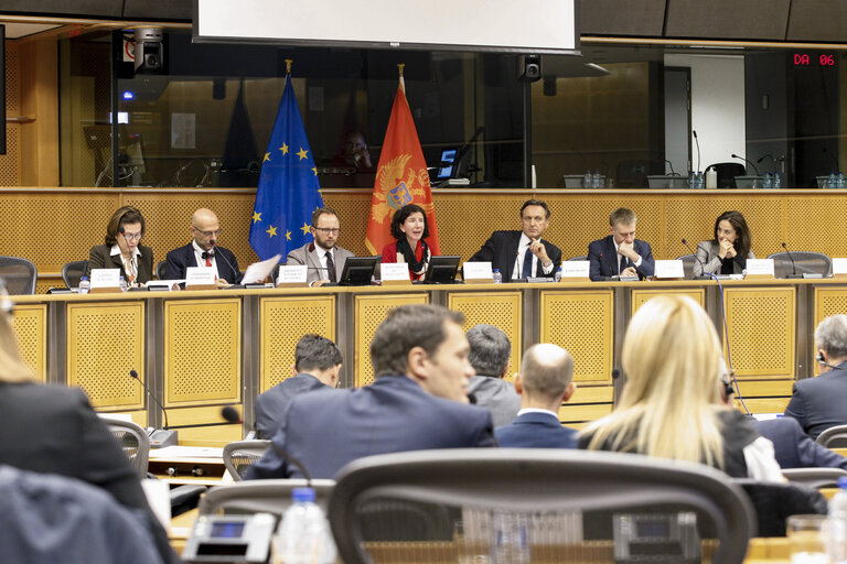 Foto 7: 9th EU-Montenegro Stabilisation and Association Parliamentary Committee meeting