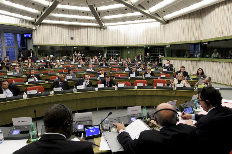 Fotagrafa 1: Meeting of the Delegation to the ACP-EU Joint Parliamentary Assembly with the laureate of the Sakharov Prize 2014