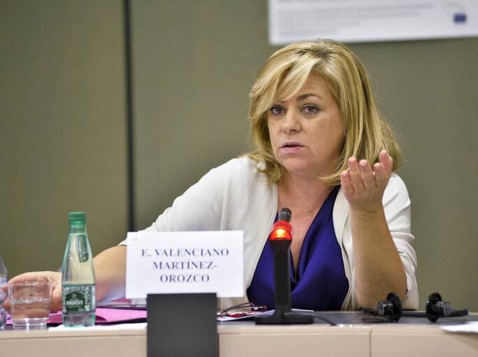 Foto 15: Seminar for journalists.  Sakharov prize for freedom of thought.