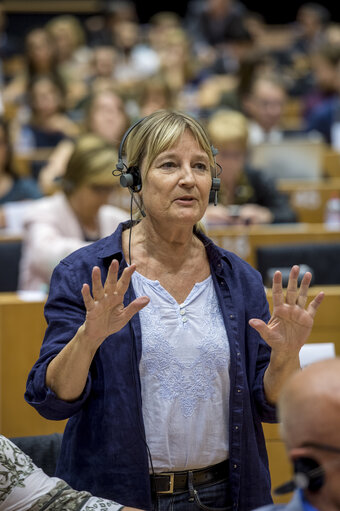 Foto 13: Constitutive EMPL committee meeting - Election of chairs and vice-chairs