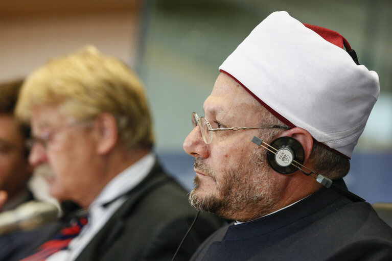 Fotografija 5: AFET Committee meeting with the Grand Mufti of Egypt