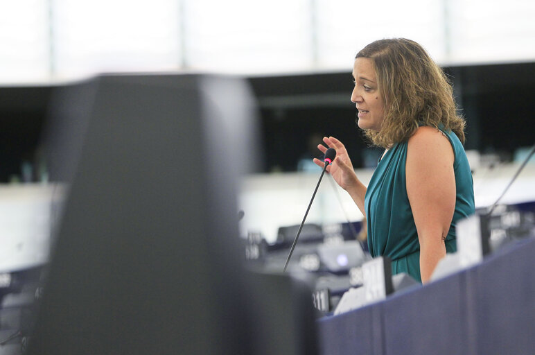 Foto 19: Plenary session week 29-2014 - Strasbourg - Withdrawal of the maternity leave directive