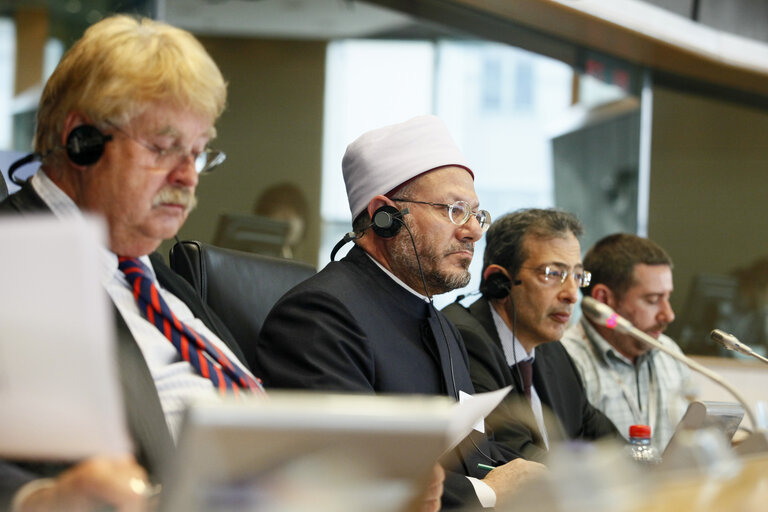 Fotografija 4: AFET Committee meeting with the Grand Mufti of Egypt