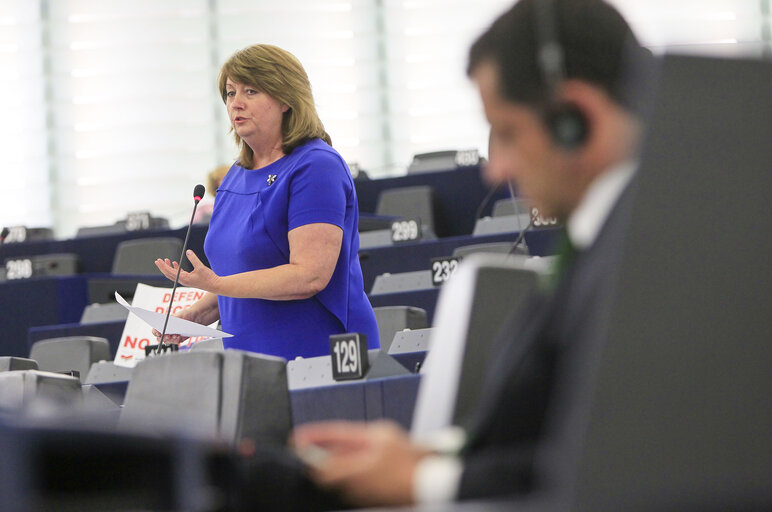 Foto 21: Plenary session week 29-2014 - Strasbourg - Withdrawal of the maternity leave directive