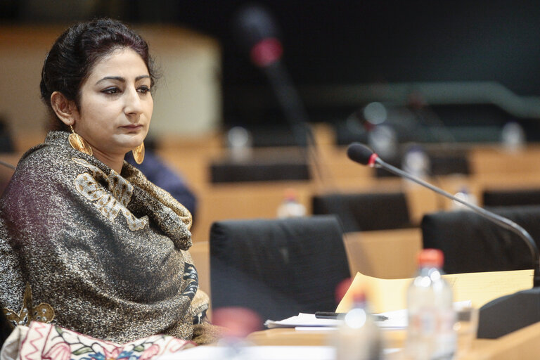 Fotografija 11: Kashmir week plenary session