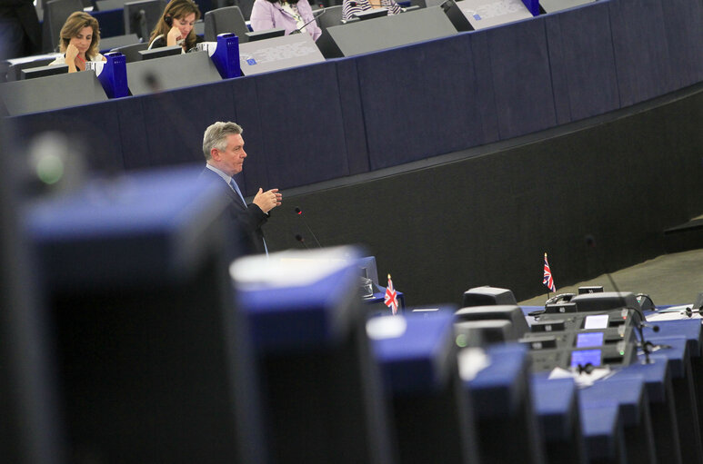 Foto 41: Plenary session week 29-2014 - Strasbourg - Withdrawal of the maternity leave directive