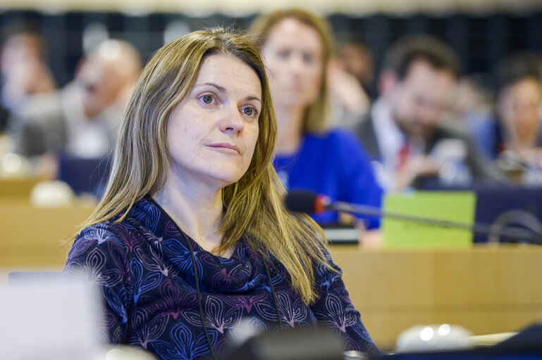 Photo 35 : IMCO Working Group on Digital Single Market