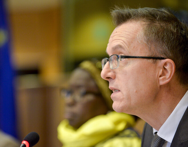 Foto 9: DEVE Public Hearing - Addressing the root causes of migration from developing countries