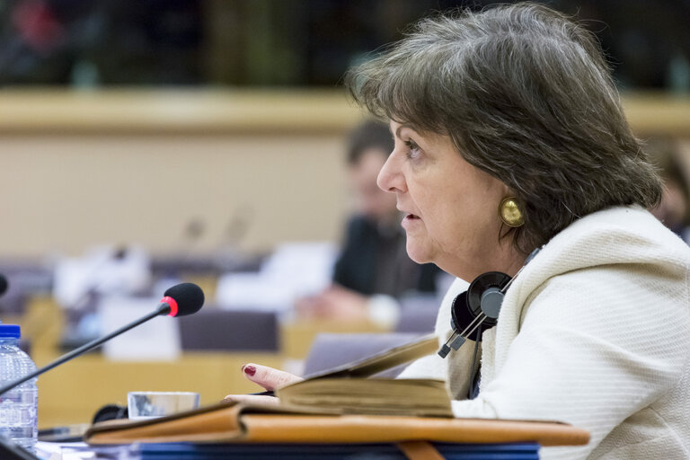 Photo 2: ECON Committee meeting in the Presence of the Dutch Minister for Finance