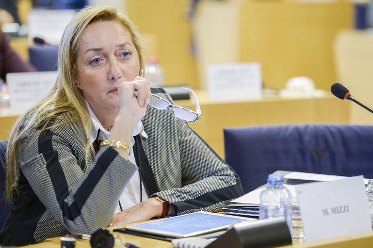 Photo 29 : IMCO Working Group on Digital Single Market