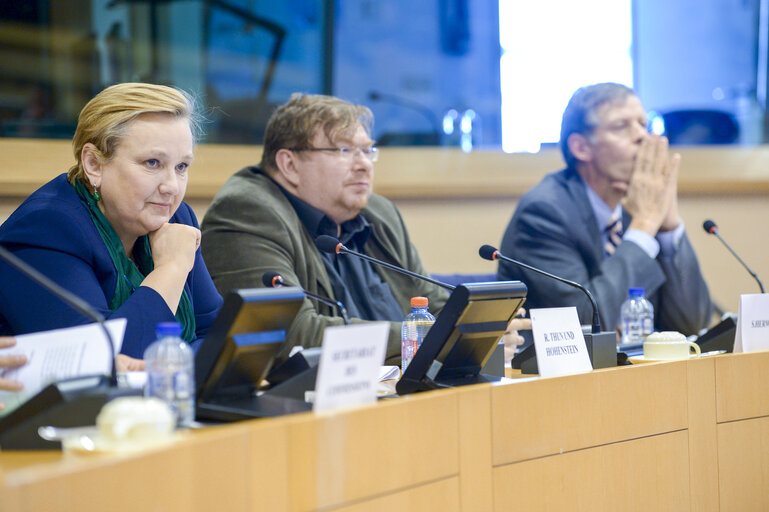 Photo 16 : IMCO Working Group on Digital Single Market