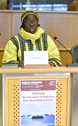 Foto 23: DEVE Public Hearing - Addressing the root causes of migration from developing countries