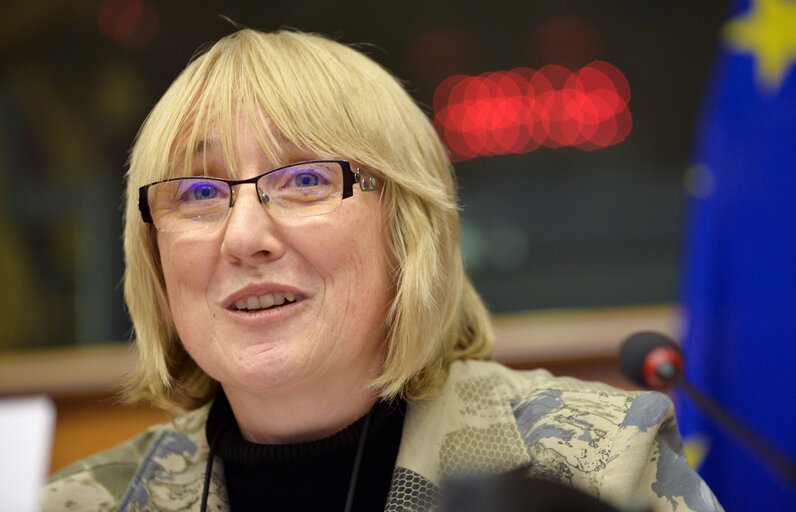 Fotografija 10: Meeting of the EP-Israel delegation